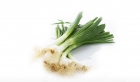 Spring-Onions, Kanda Patta