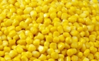 Sweet Corn, Makka Dana